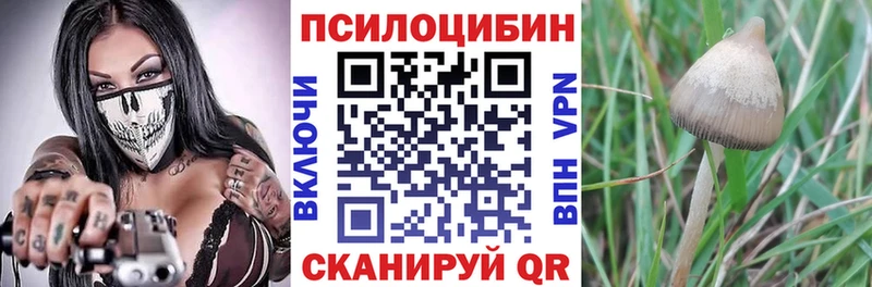 цена наркотик  KRAKEN онион  Галлюциногенные грибы мухоморы  Буинск 
